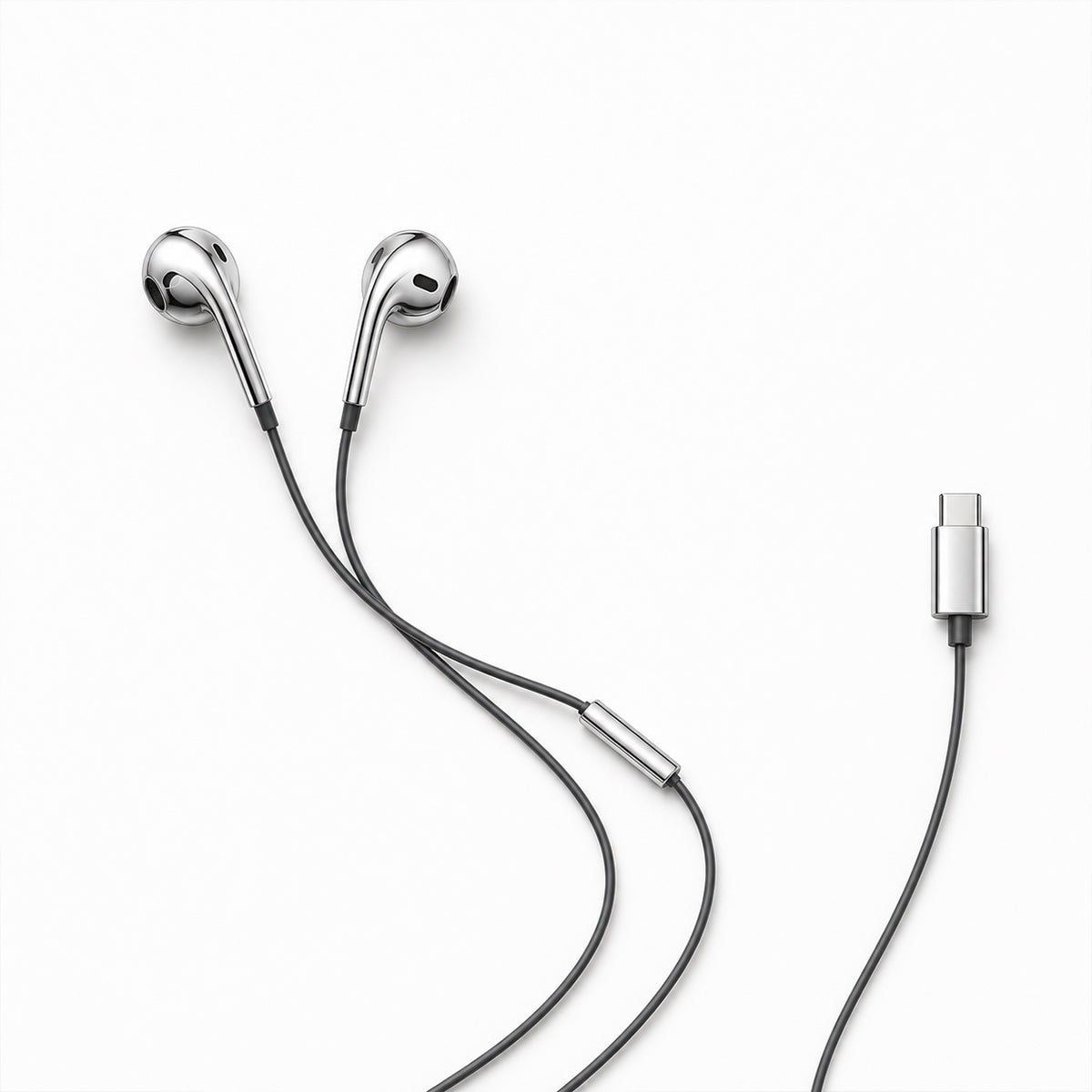 the earphones